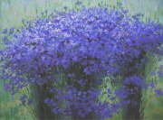 Cornflowers (private collection)