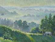 Mist valley (for sale)